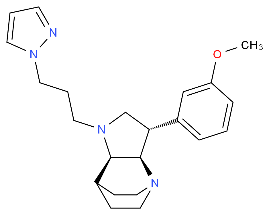  分子结构