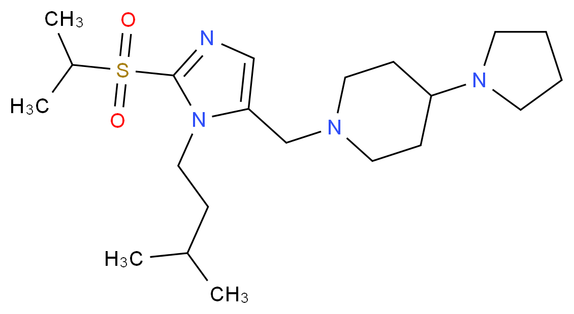  分子结构