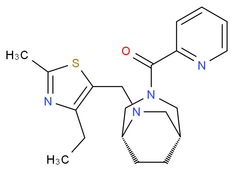  分子结构