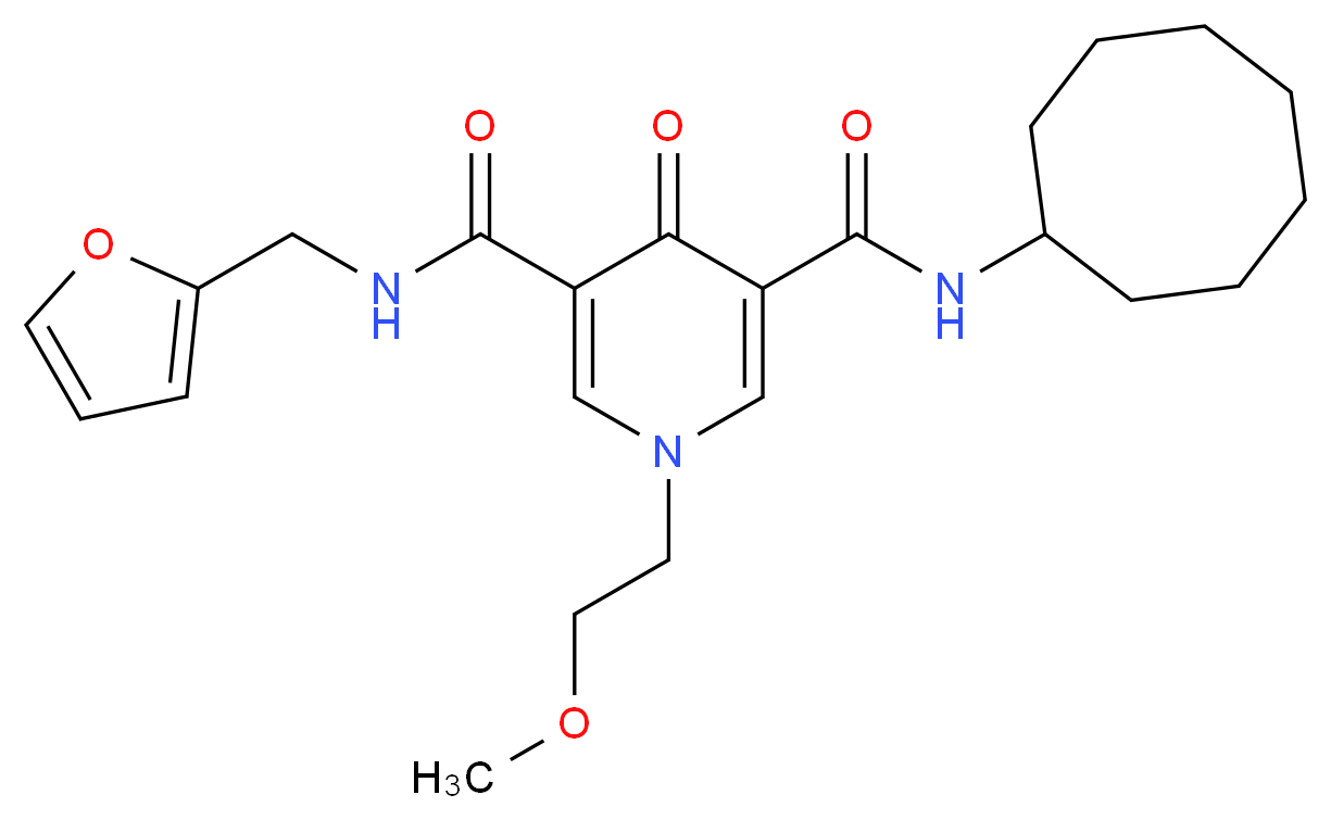  分子结构
