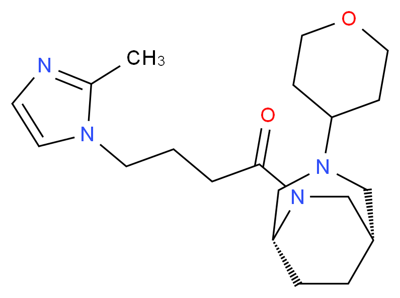  分子结构