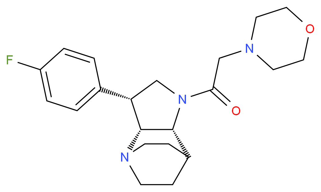  分子结构