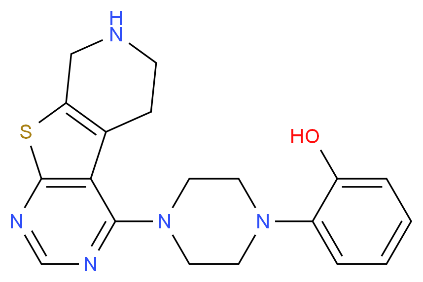  分子结构