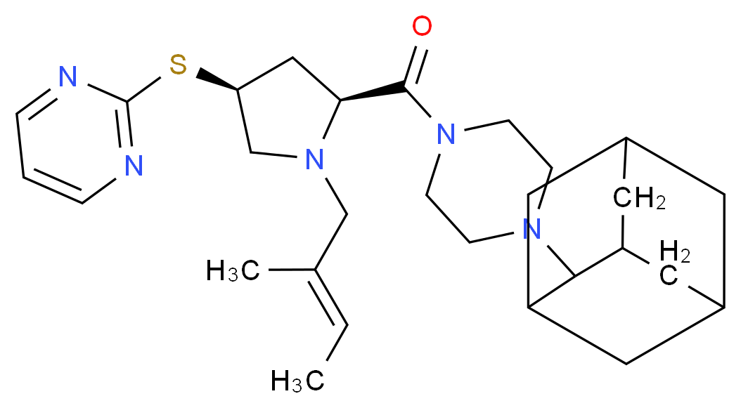  分子结构