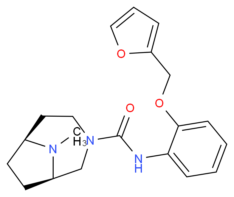  分子结构