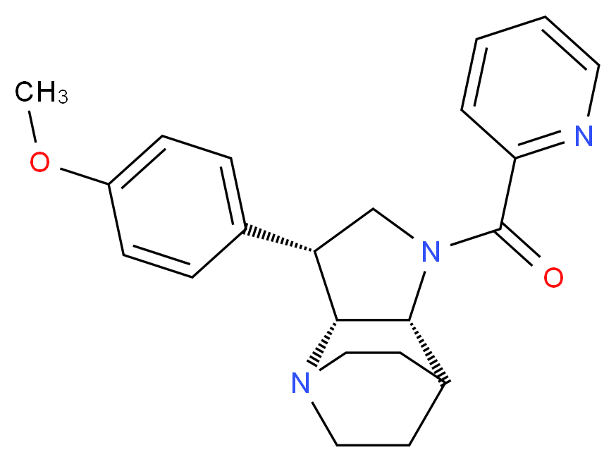  分子结构
