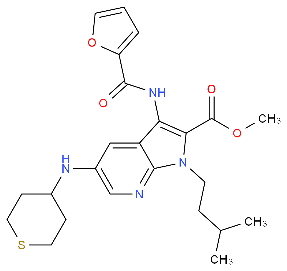  分子结构