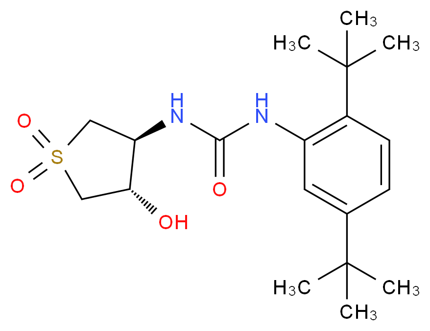  分子结构