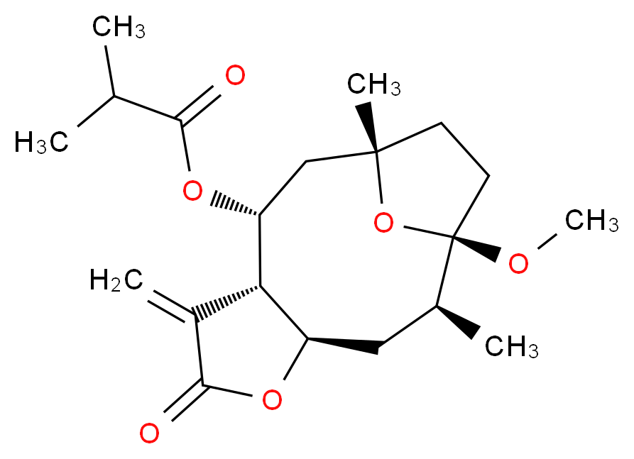 1021945-29-8 分子结构