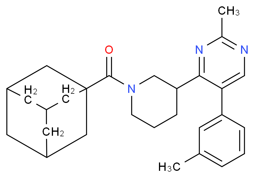  分子结构