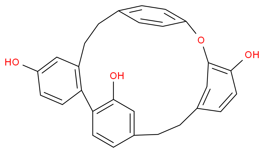 162223572 分子结构