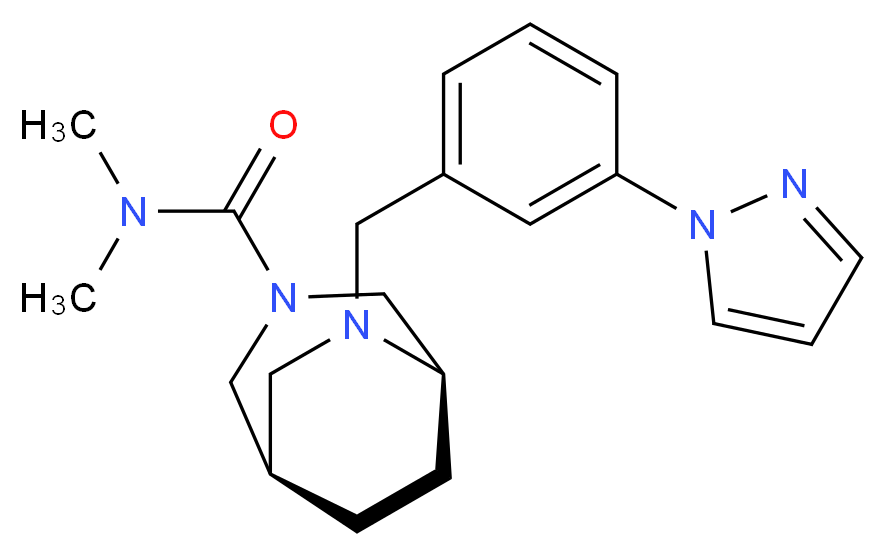  分子结构