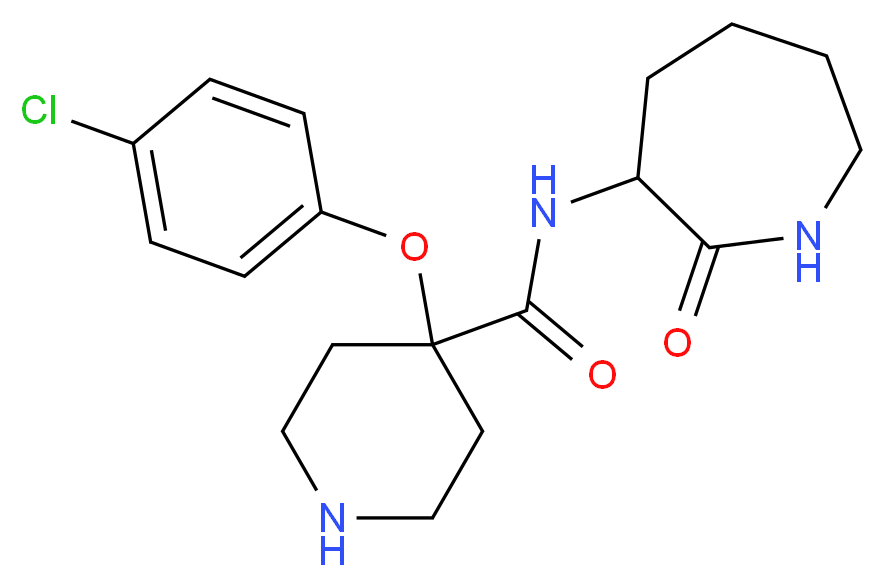  分子结构