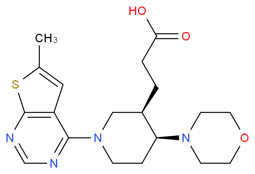  分子结构