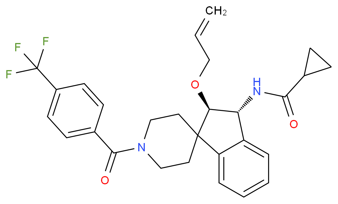  分子结构