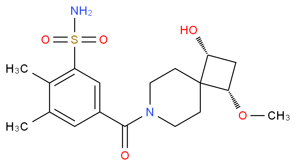  分子结构