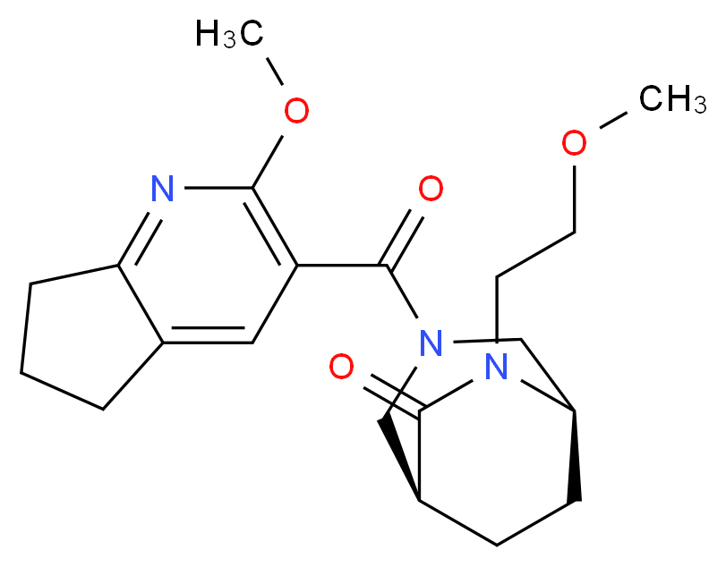  分子结构