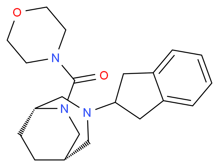  分子结构