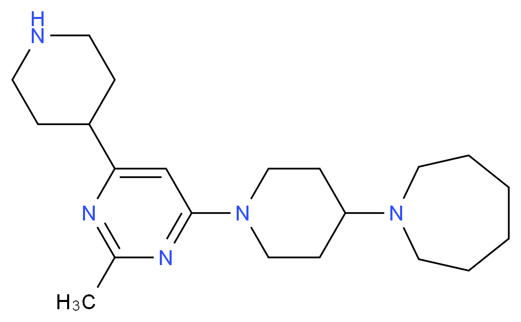 分子结构