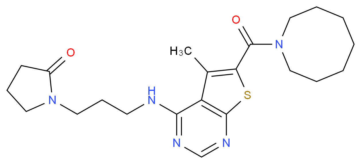  分子结构