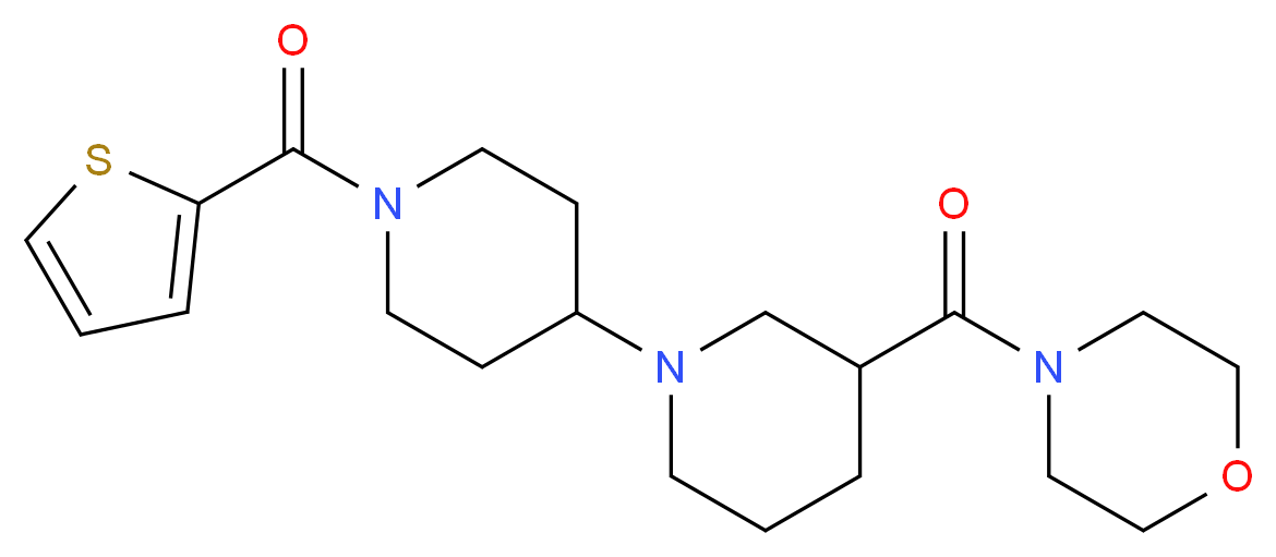  分子结构