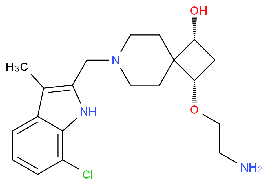  分子结构
