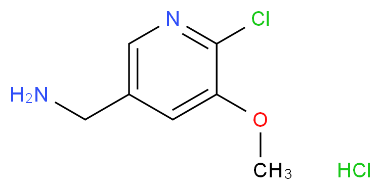 162104813 分子结构