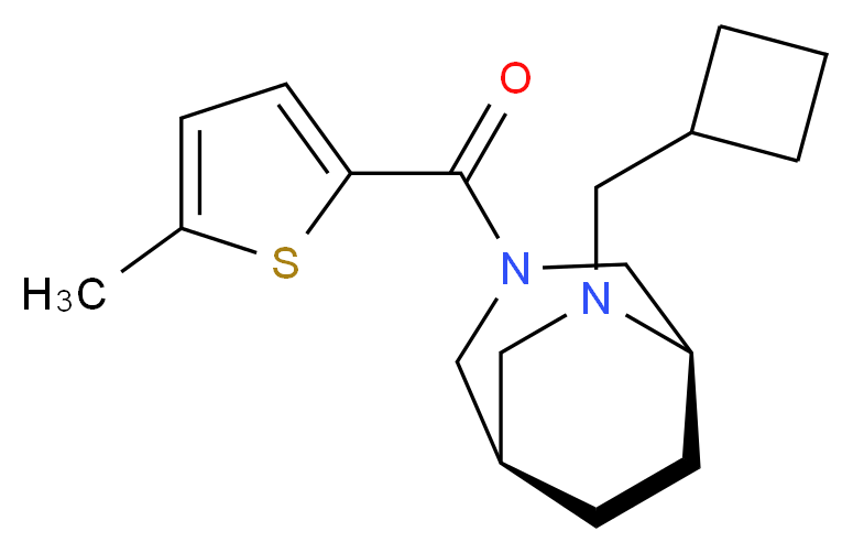  分子结构