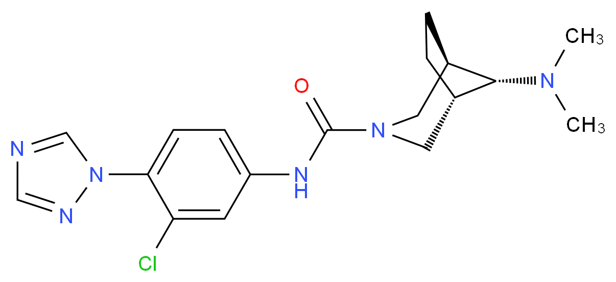  分子结构