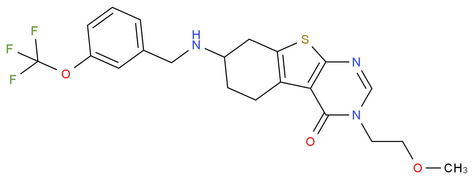  分子结构