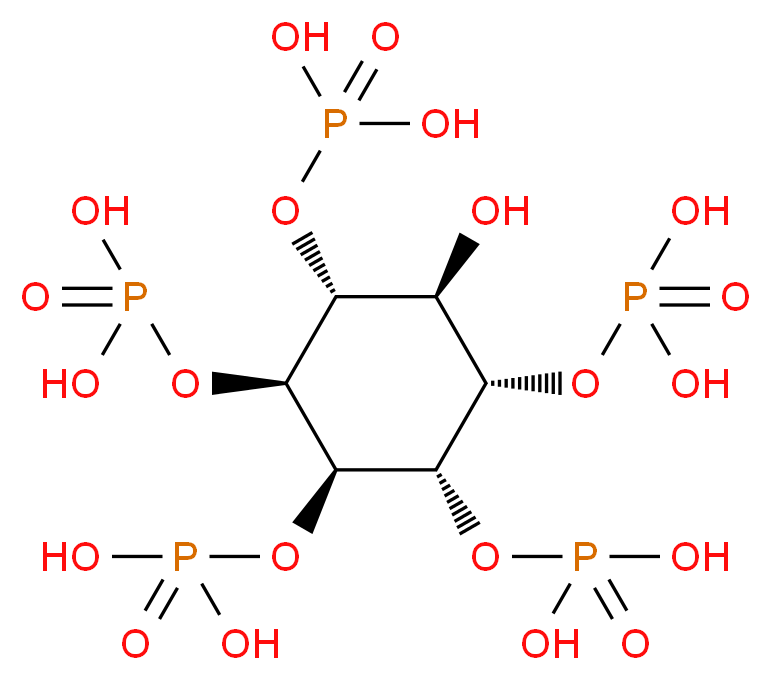 46505565 分子结构