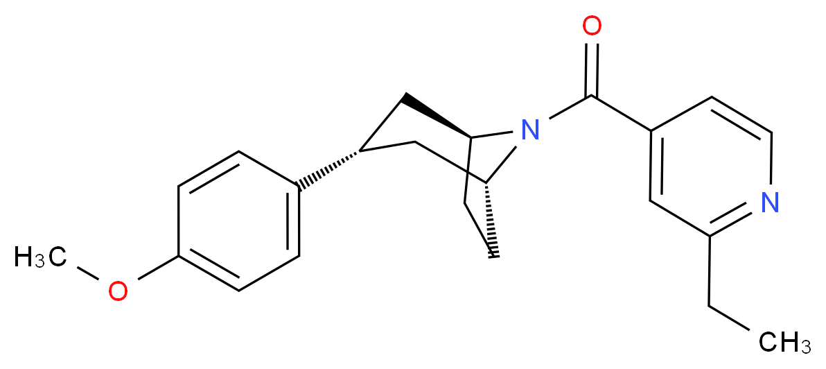  分子结构