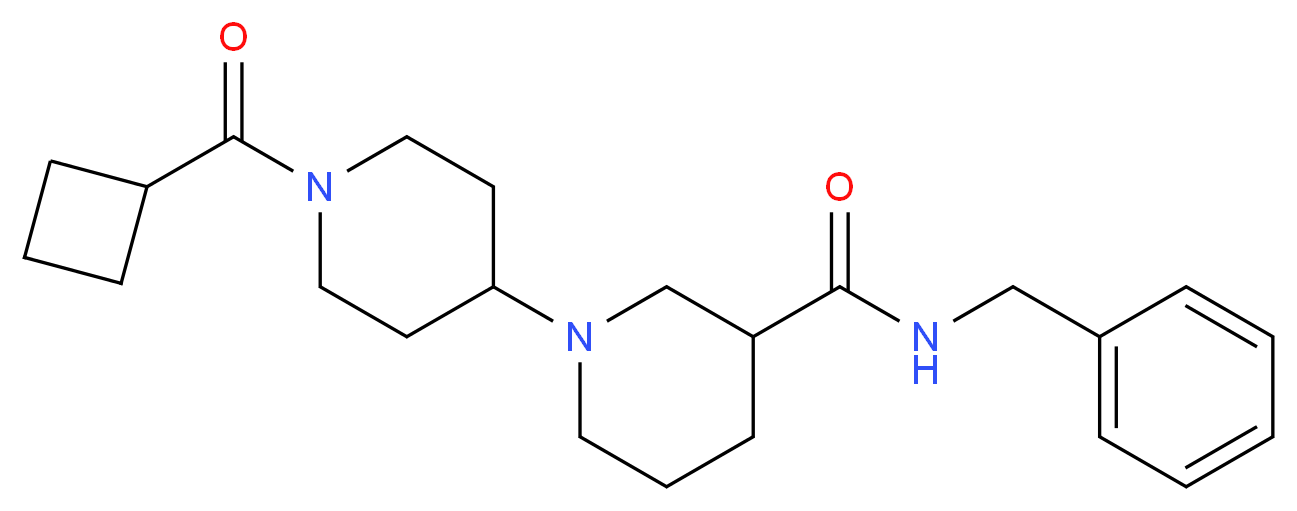  分子结构