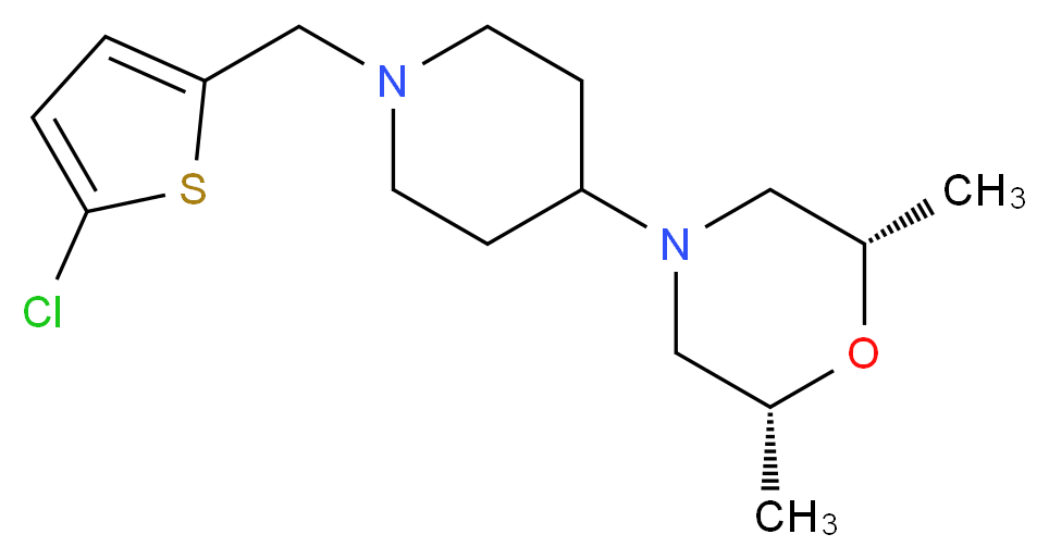  分子结构
