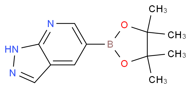 1093819-50-1 分子结构