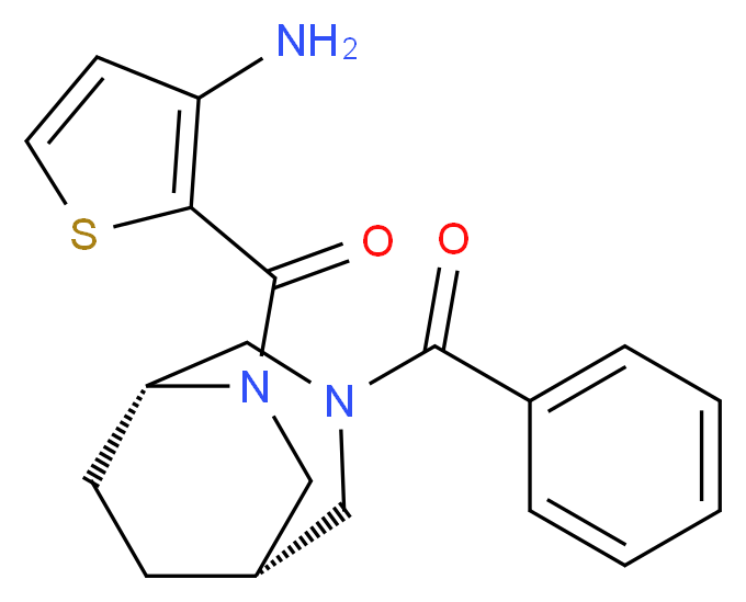  分子结构