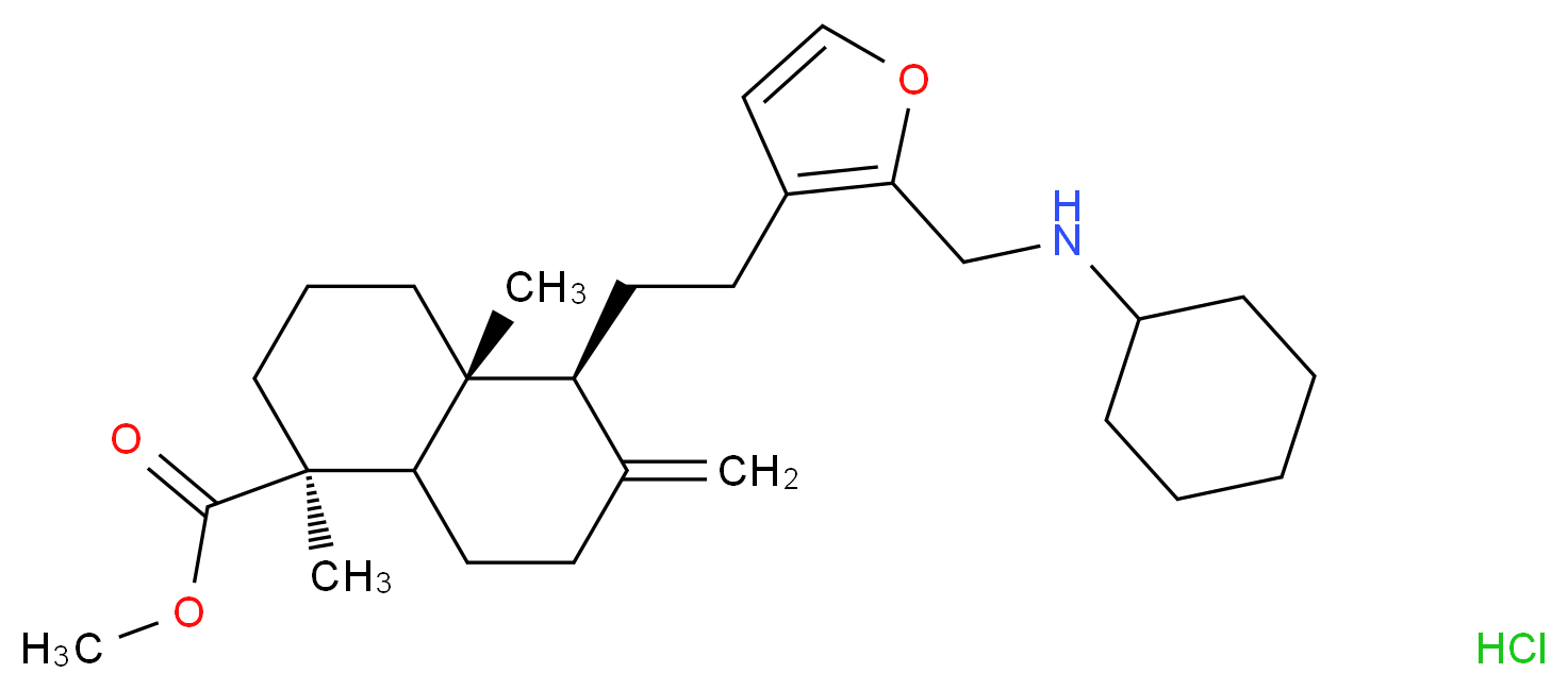 164245310 分子结构