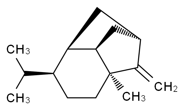 24959-83-9 分子结构