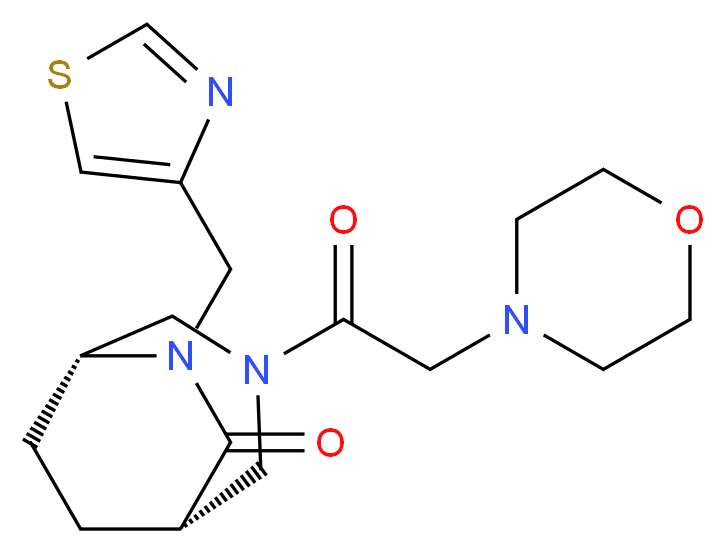  分子结构