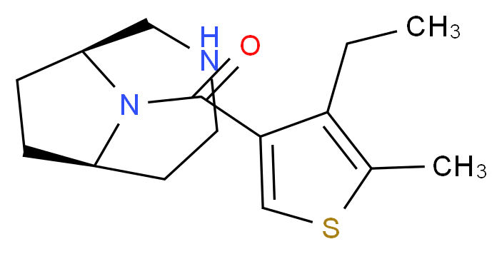  分子结构