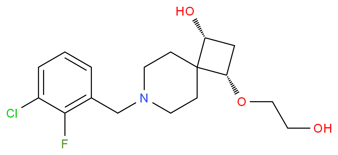  分子结构