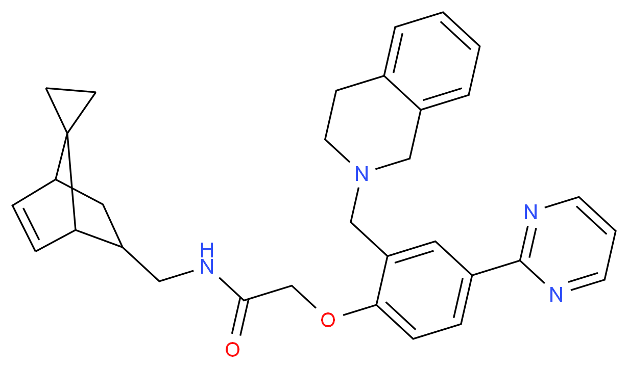  分子结构