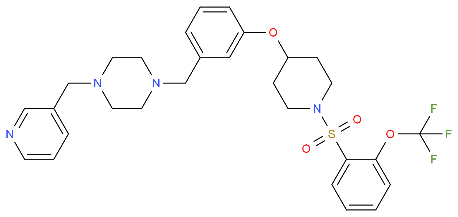  分子结构
