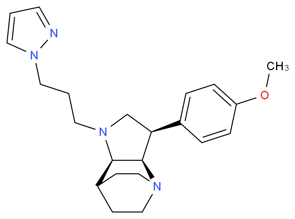  分子结构