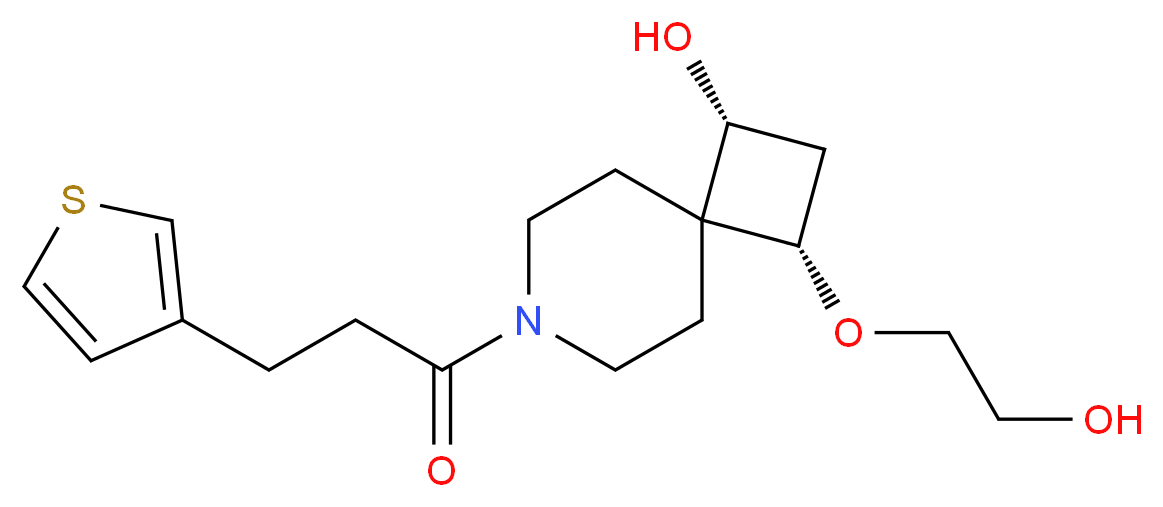  分子结构