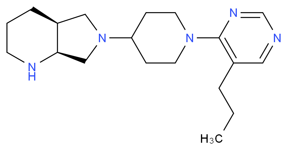  分子结构