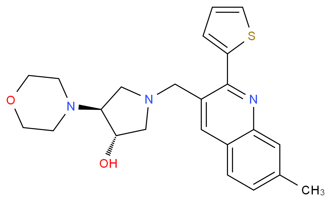  分子结构