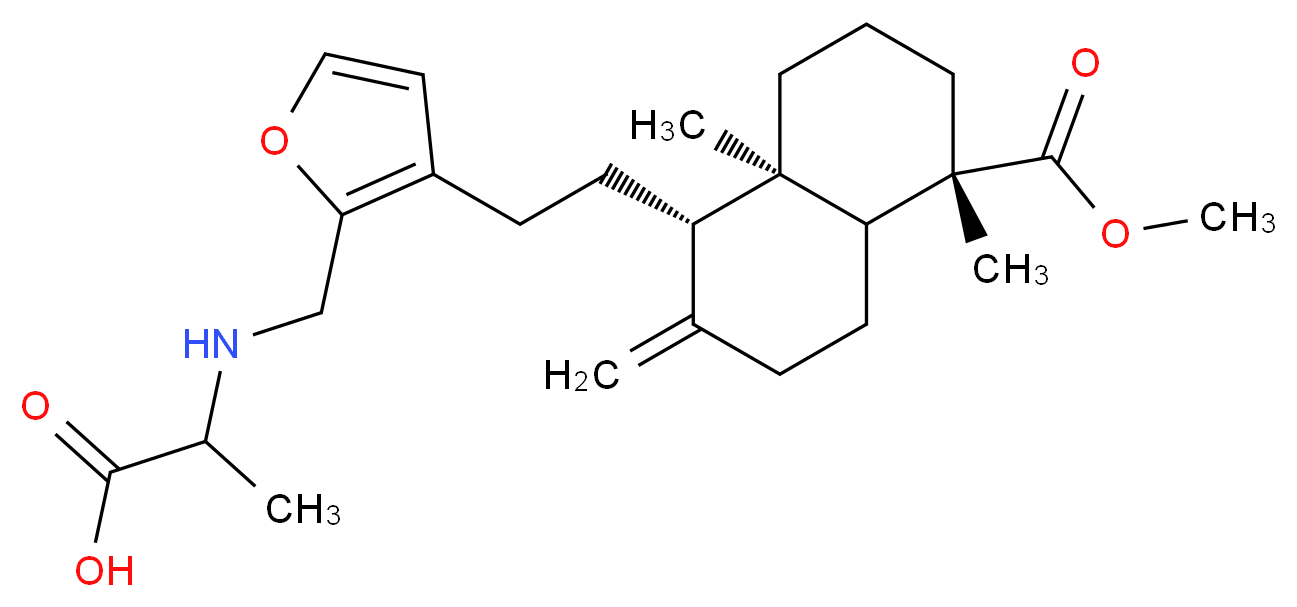 164245155 分子结构