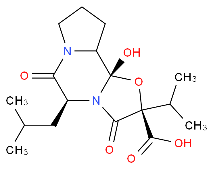 24177-07-9 分子结构