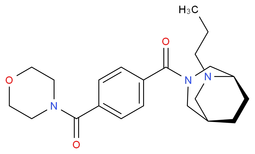  分子结构